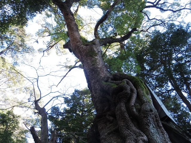 c0214259_19213467.jpg