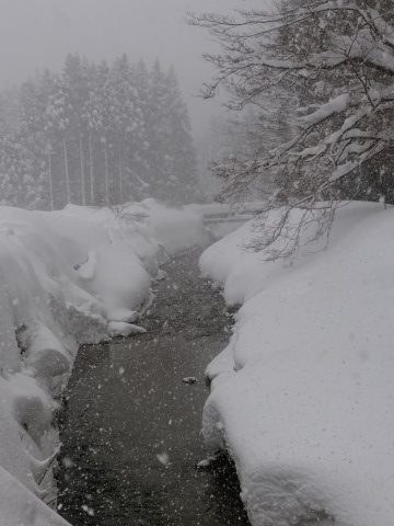 晴れのち豪雪_f0327061_20154129.jpg