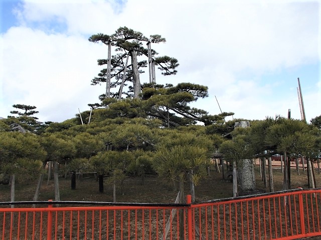 b0044663_00218.jpg