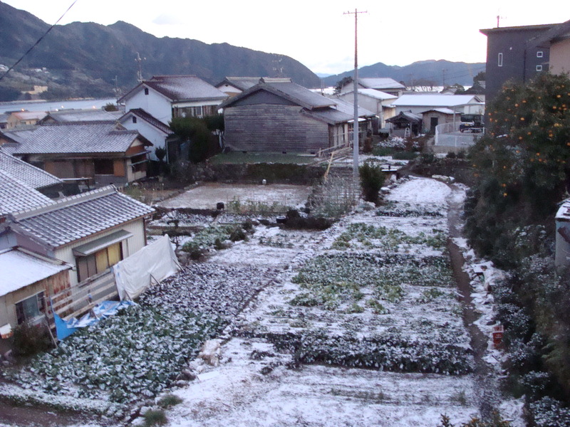 南国尾鷲に珍しく雪が積もっています_e0365767_6485654.jpg