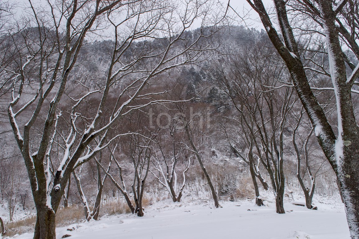 雪の屏風岩_c0350572_18413074.jpg