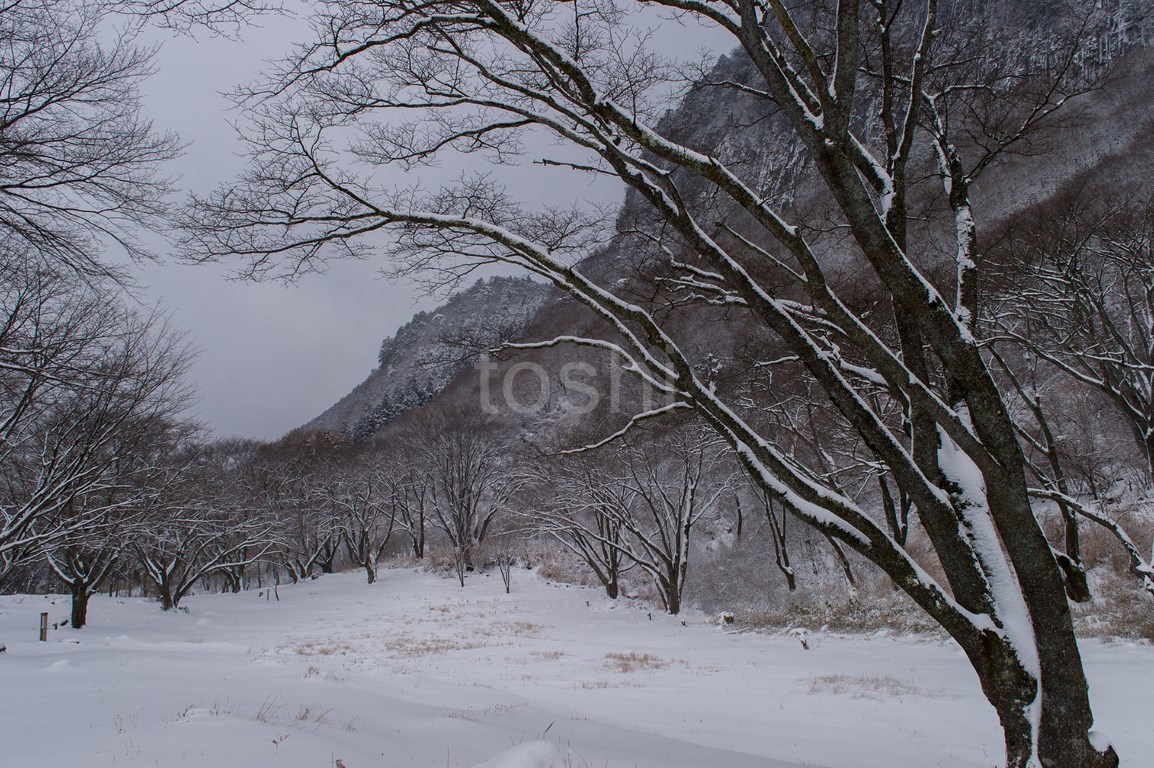 雪の屏風岩_c0350572_18413690.jpg