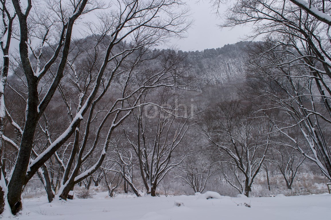 雪の屏風岩_c0350572_18415744.jpg