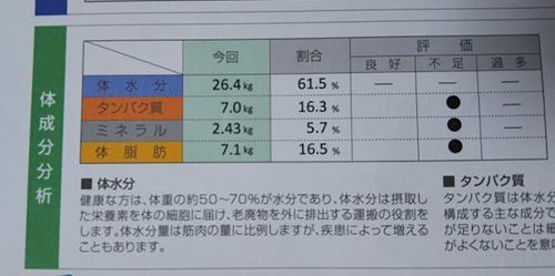 初心者向けがうたい文句のフィットネスクラブに入会してきました_d0169072_09022190.jpg