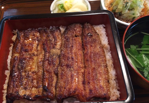 うなぎの甚八 掛川市肴町 Makan Makanan うなぎの甚八 掛川市肴町 Makan Makanan