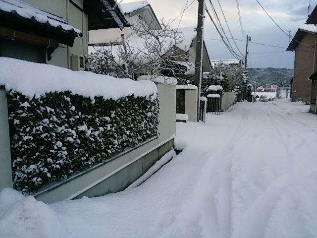 f0153475_73489.jpg