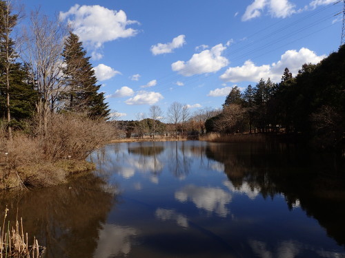 f0348480_16264015.jpg