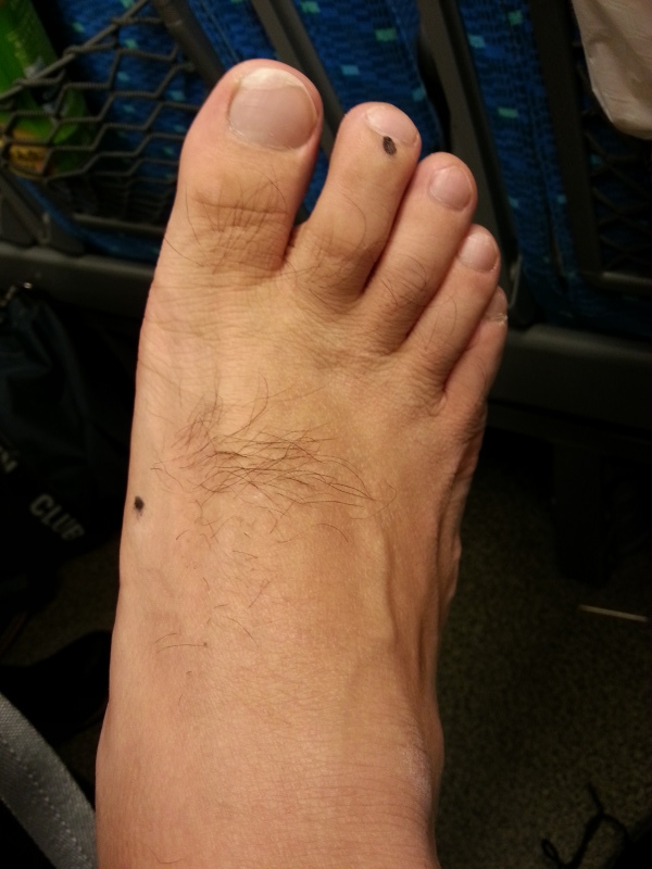 b0125487_21431477.jpg