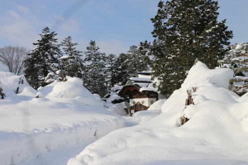 まつりが終わり陽光を浴びる雪灯篭を眺め米沢キャンパスへ・８_c0075701_19044679.jpg