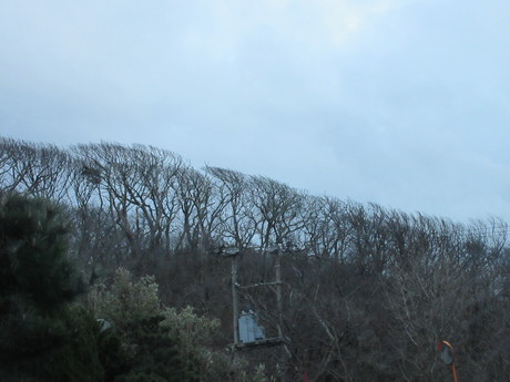 a0203003_2012861.jpg