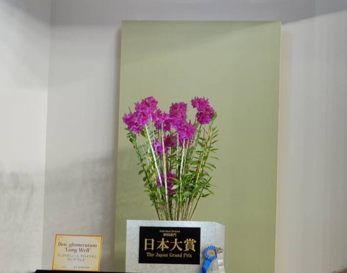 f0231709_16351223.png