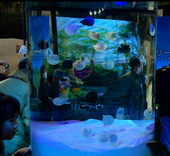 f0231709_16422137.png