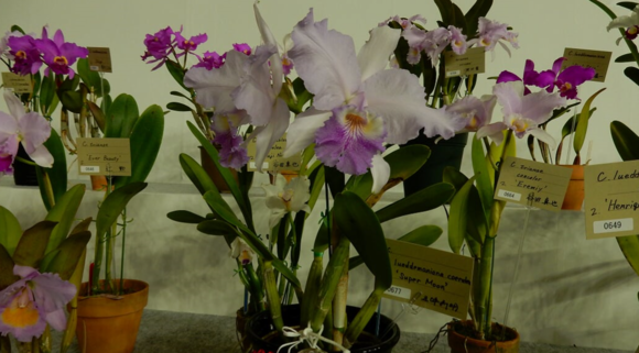 f0231709_17122038.png