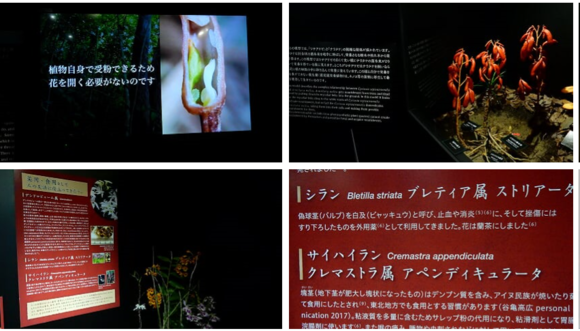 f0231709_1713676.png
