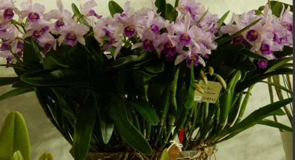 f0231709_17345325.png