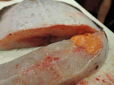 ババカレイ_f0157910_1024769.jpg