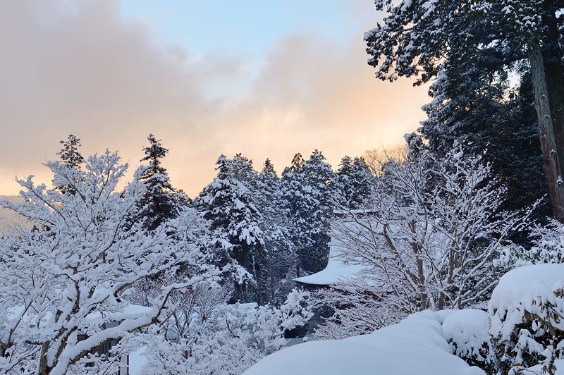 大原雪景色　其の二・勝林院_f0032011_20190524.jpg