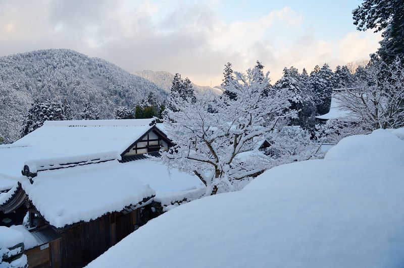 大原雪景色　其の二・勝林院_f0032011_20190645.jpg