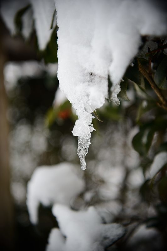 大原雪景色 其の二・勝林院_f0032011_20190690.jpg