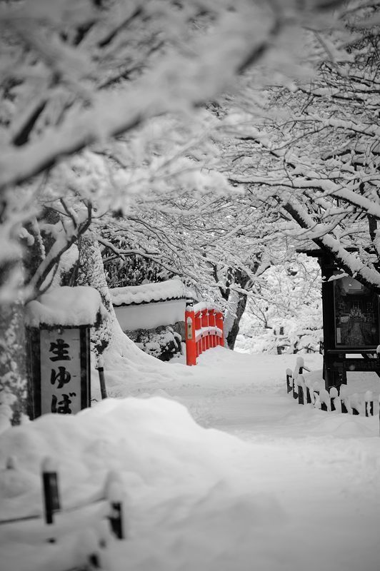 大原雪景色　其の二・勝林院_f0032011_20190723.jpg