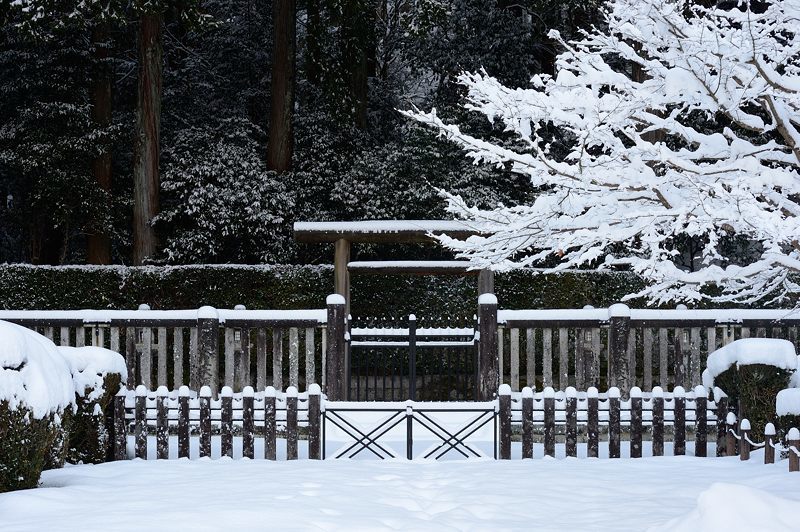 大原雪景色 其の二・勝林院_f0032011_20190784.jpg
