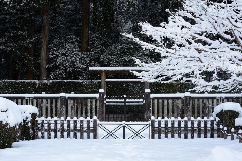 大原雪景色　其の二・勝林院_f0032011_20190784.jpg