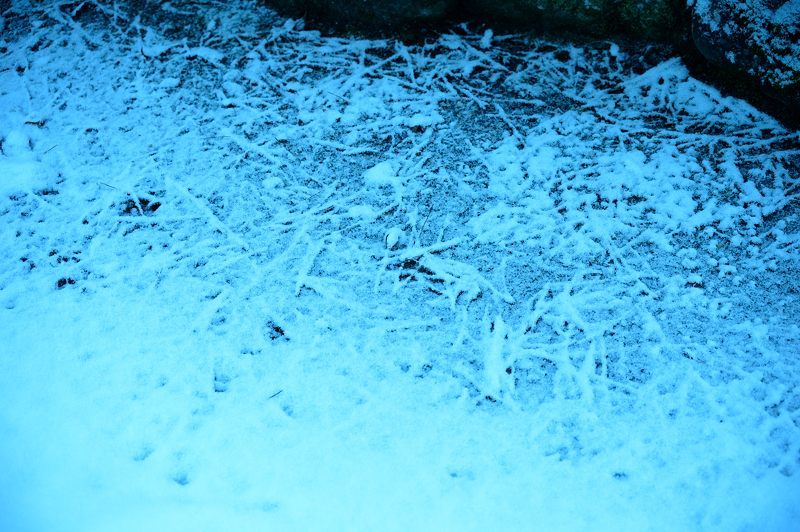 大原雪景色 其の二・勝林院_f0032011_20190840.jpg