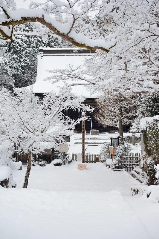 大原雪景色 其の二・勝林院_f0032011_20382006.jpg