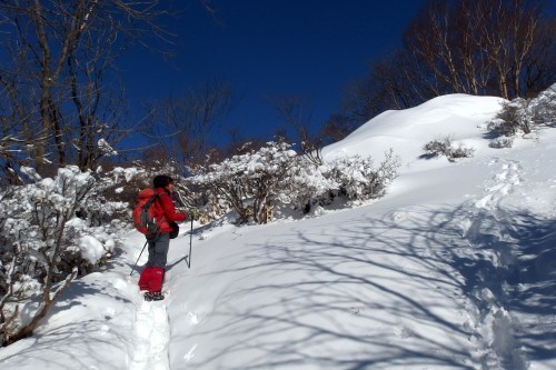 2017/2/11 荒山・鍋割山　パウダースノーと雪庇・風紋_a0340812_14201587.jpg