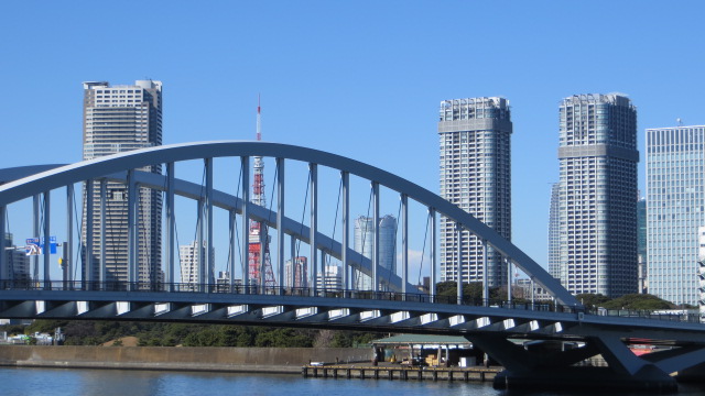 東京湾岸ジョギング　13ｋｍ_a0100919_14201053.jpg