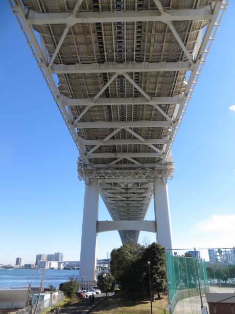 東京湾岸ジョギング　13ｋｍ_a0100919_1427212.jpg