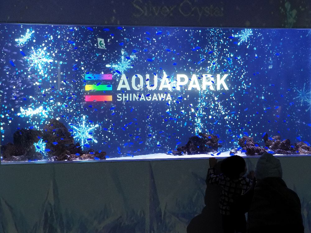 b0204819_9431989.jpg