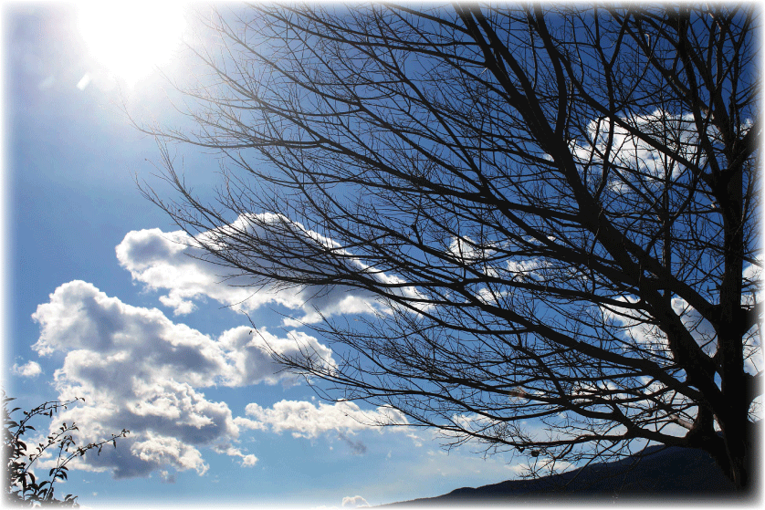 c0107829_22271411.gif