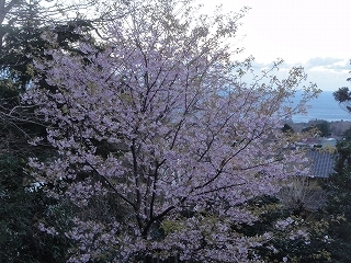 渋滞覚悟で山小屋へ(2月11日、祝日）_c0147935_17383491.jpg