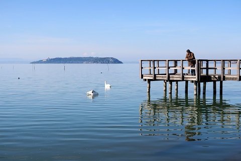 湖畔の巨大フライパンと白鳥、パッシンニャーノ_f0234936_64465.jpg