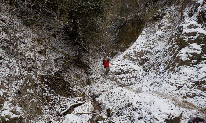 e0371039_1247112.gif