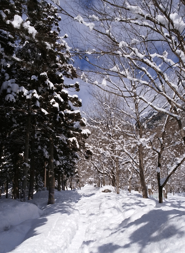 e0371039_193617.gif