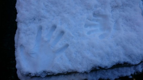 f0073639_01091514.jpg