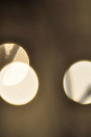 d0120442_20451494.jpg