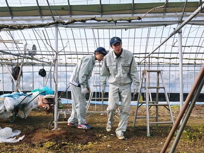 熊本ぶどう 社方園 ハウスの内張りと熊本農業高校からの農業実習(2017)後編_a0254656_1741797.jpg