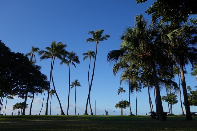 HAWAII 9日目（1/8/2017）_e0175358_17165090.jpg