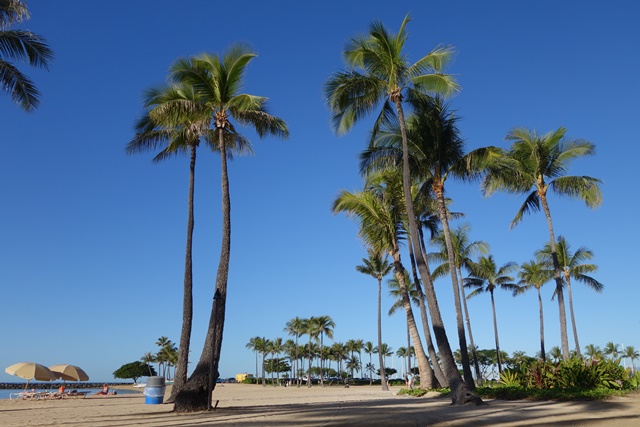 HAWAII 9日目（1/8/2017）_e0175358_1720308.jpg