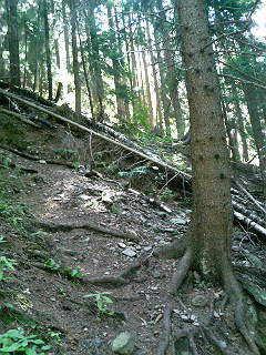 e0371761_16222412.jpg