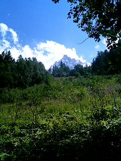 e0371761_16222630.jpg