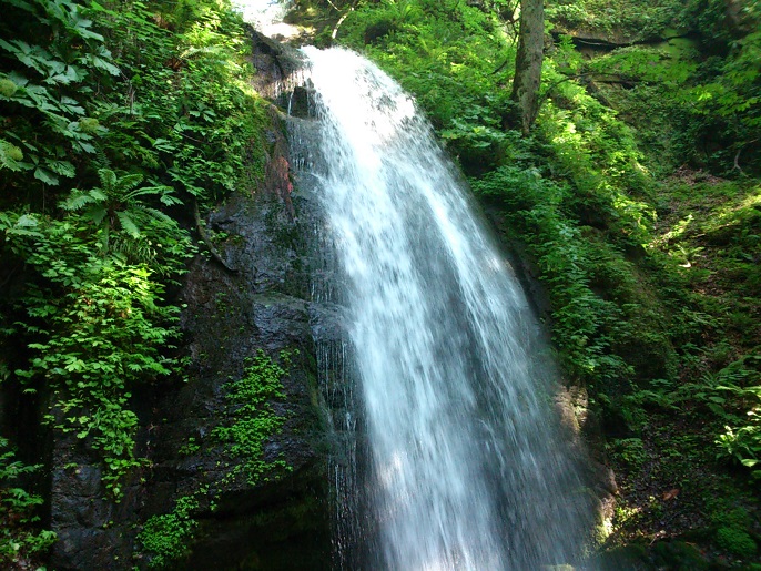 青森・奥入瀬渓流　金沢・東北旅行_e0371761_16432808.jpg