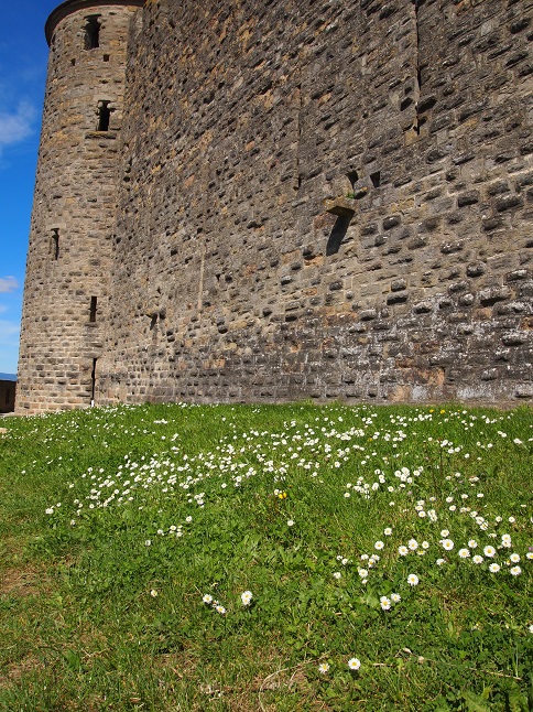 e0371761_16451224.jpg