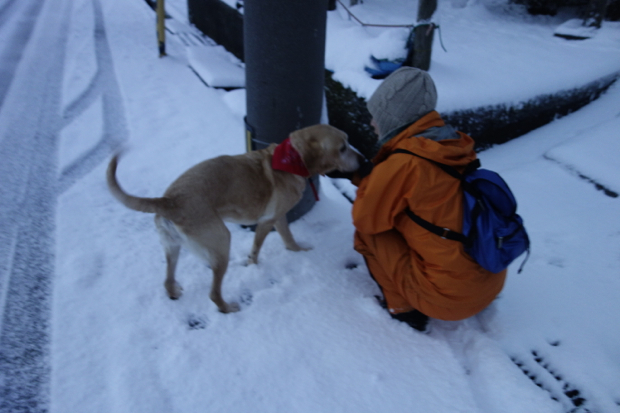 耳が遠くなった愛犬_e0372664_14085954.jpg