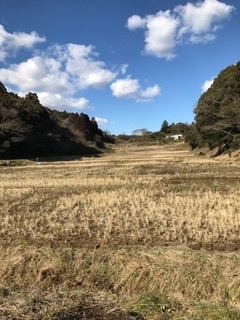 春を待つ田んぼ_b0034072_08145354.jpg