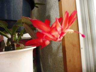 e0046477_15283880.jpg