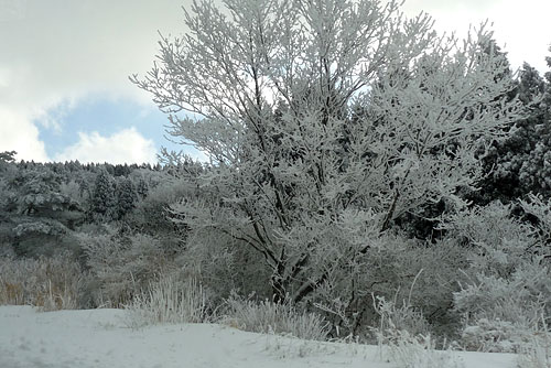 雪見に行こうよ～♪_c0152779_13374795.jpg